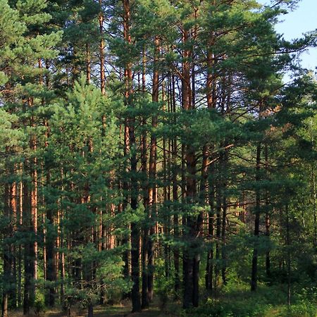 Apartamentai Laima Druskininkai Luaran gambar